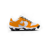 Nike Dunk Youth Baseball Cleats