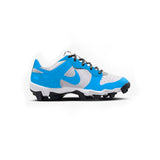 Nike Dunk Youth Baseball Cleats